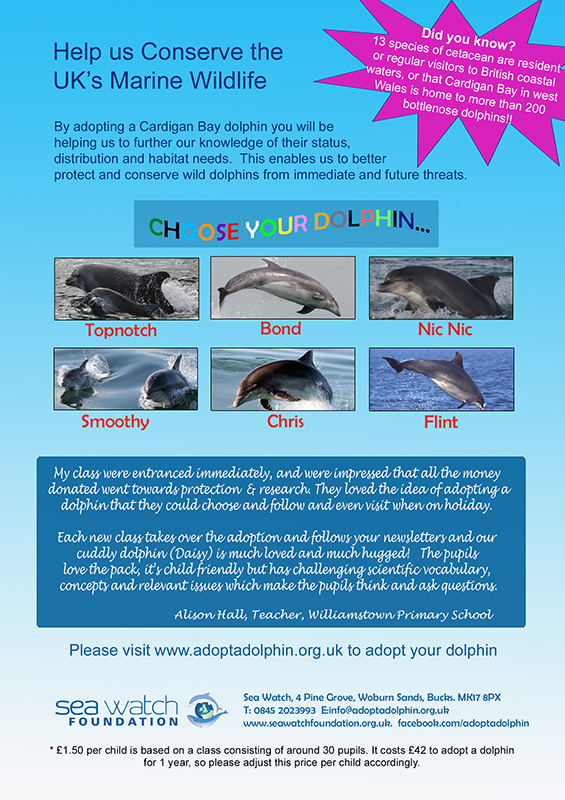 Adopt a Dolphin Outreach